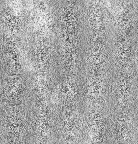 Бетон в рулонах - вариант 1