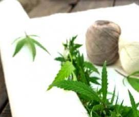 Безопасный утеплитель - вариант 1