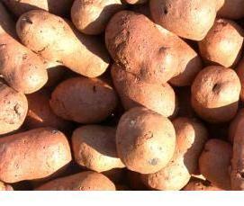 Безопасный утеплитель - вариант 2