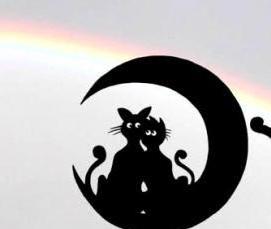 Большой флюгер на крышу - тип 1