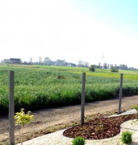 Бордюр для газона - модель 4