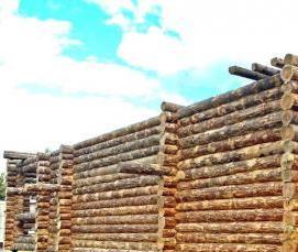 Бревенчатые сваи - вариант 4