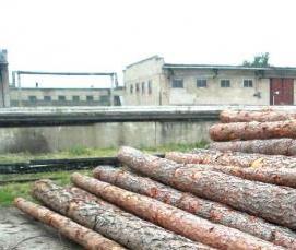 Бревно 200 мм - тип 3