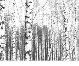 Бревно черного дерева - модель 2