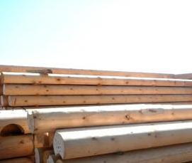 Бревно - тип 1