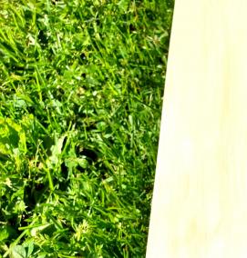 Брус 150х70 мм - модель 4