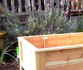 Брус 20х20 мм - тип 4