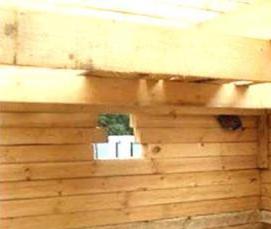 Брус 80х20 мм - модель 2