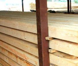 Брус Бук 100х100 мм - модель 2