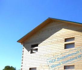 Брус Сосна 200х200 мм - модель 4