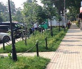 Брусчатка 200х100 - модель 3