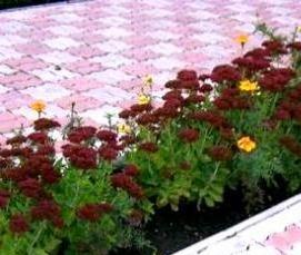 Брусчатка тротуарная волна - тип 1