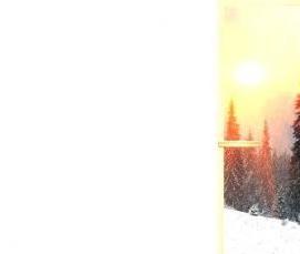 Брусок окрашенный - модель 1