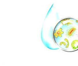 Быстрая дезинфекция поверхностей - вариант 1