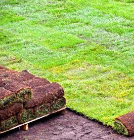 Быстрорастущий газон - модель 2