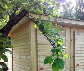 Бытовка двухкомнатная зимняя - модель 2