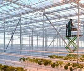 Бюджетная зимняя теплица - вариант 1