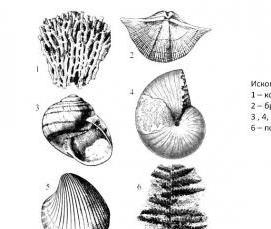 цемент горных пород - модель 4