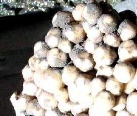 цемент горных пород - модель 3