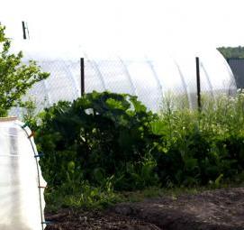 чехол для парника - тип 1