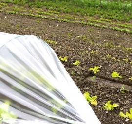 чехол для парника - тип 2