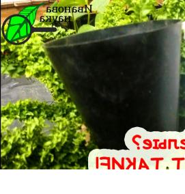 черные горшки для саженцев - вариант 1