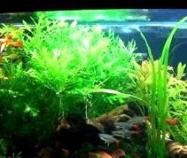 черный кварцевый песок - вариант 3