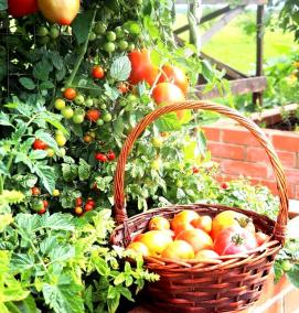 черный материал для грядок - модель 4