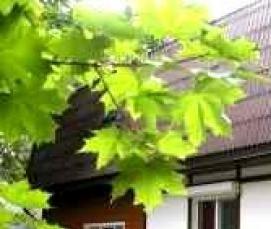 цсп 1250х2700 мм - модель 2