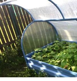 цветной парник - модель 4