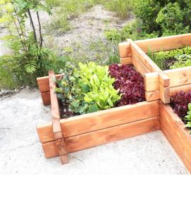 цветные грядки - вариант 1