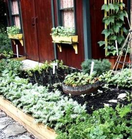 цветные грядки - вариант 3