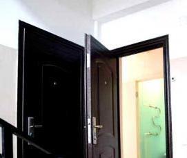 цветные входные двери в квартиру - модель 4