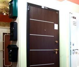 цветные входные двери в квартиру - модель 2