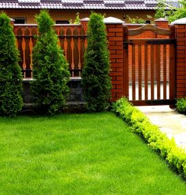 Дачное озеленение - тип 3