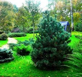 Декоративная подпорная стенка - вариант 3