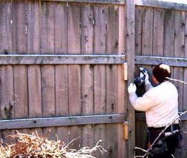 Демонтаж дерева - модель 1