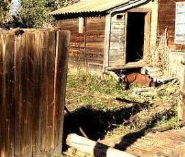 Демонтаж дерева - модель 3