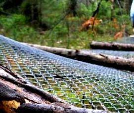 Демонтаж дерева - модель 2