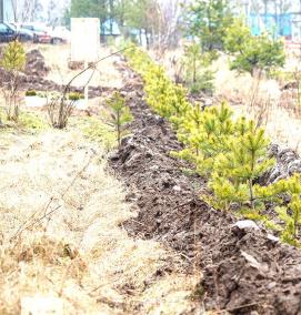 Демонтаж нефтепровода - модель 2