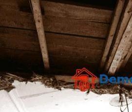 Демонтаж штукатурки потолка - тип 2