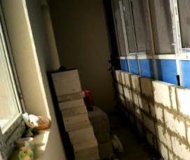 Демонтаж утеплителя стен - модель 3