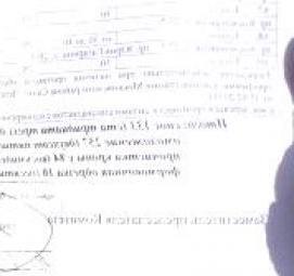 Дендроплан для порубочного билета - тип 4