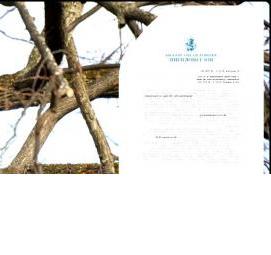 Дендроплан для порубочного билета - тип 3