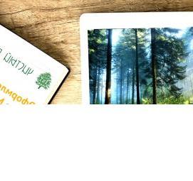 Дендроплан для порубочного билета - тип 2