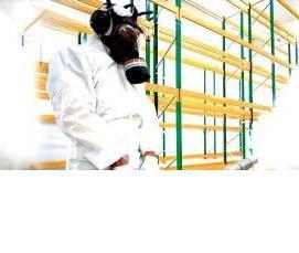 Дератизация дома - вариант 1