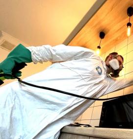 Дератизация и дезинсекция на предприятии - модель 2