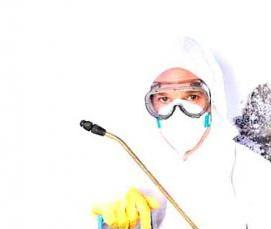 Дератизация крыс и мышей - тип 2