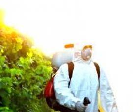 Дератизация магазина - модель 1