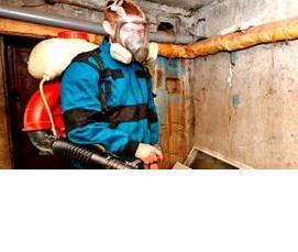 Дератизация магазина - модель 4